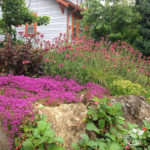 Curb appeal landscaping in Portland, Oregon using colorful flowers and plants