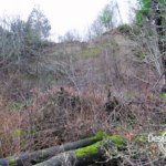Coastal feeder slope