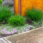 Curb Appeal Landscape Design Northwest Portland