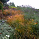 Portland area residential landscape designer.