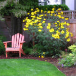 Herbstonne rudbeckia