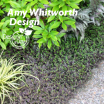 Portland Garden Design Groundcover