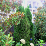 Colorful landscape design in Portland, Oregon using Magnolias