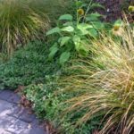 Garden Design Irvington Portland Oregon