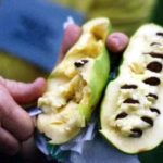 Pawpaw (Asimina Triloba) Think of an avocado that tastes like banana, is high in protein (great for vegetarians) and is easy to grow.