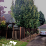 Affordable Landscaping Portland Landscape Design