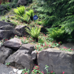 Naturescaping design in Northwest Portland