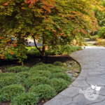 Hardscape design in Eastmoreland landscape Portland