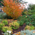 North Portland residential landscape design for year round color