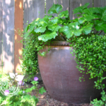 Garden Design Portland