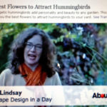 Carol Lindsay on Humminbirds